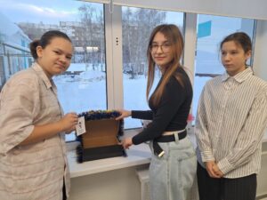 Новогодняя почта