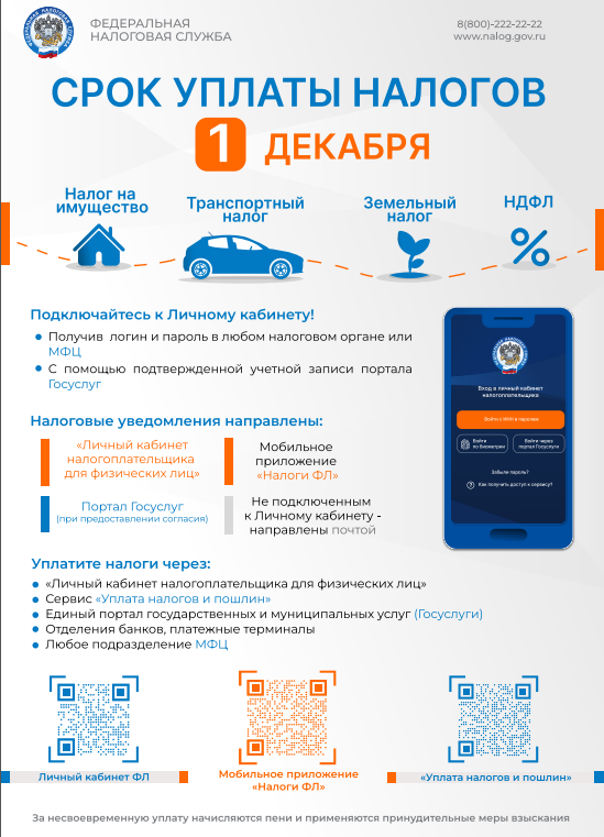 Срок уплаты налогов — 1 декабря Срок уплаты налогов — 1 декабря